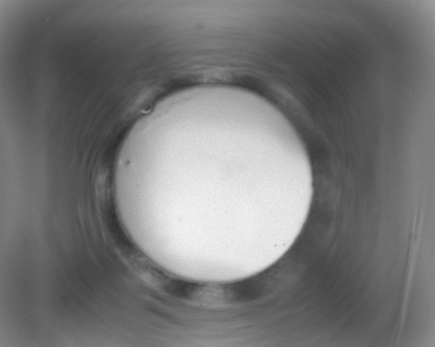 X0000081630123200702051308