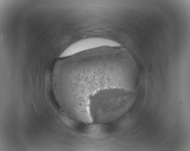 X0000081630127200702051308