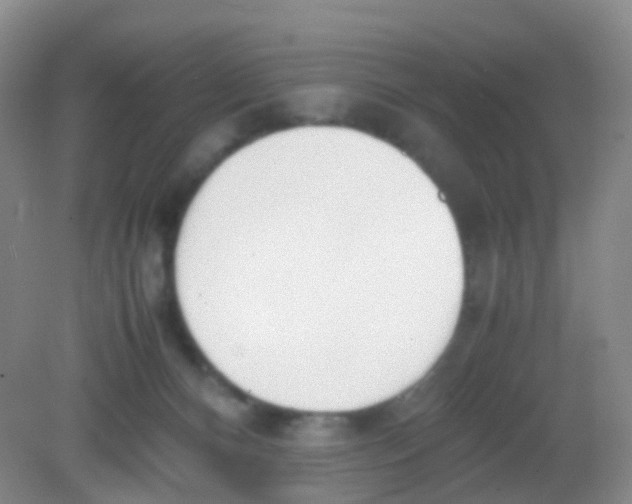 X0000081630128200702051308