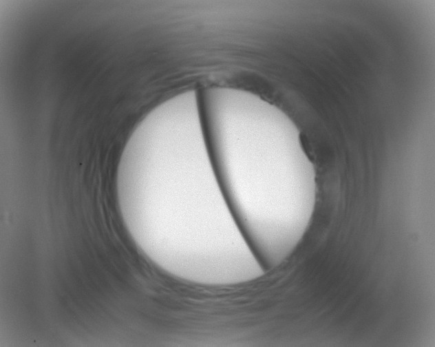 X0000081630129200702051308