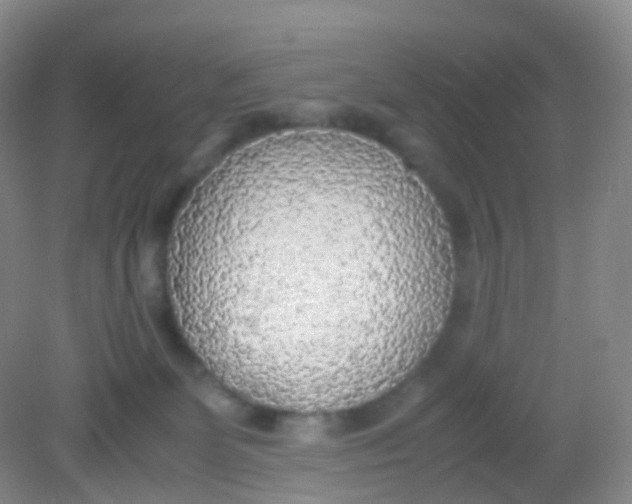 X0000081630131200702051308