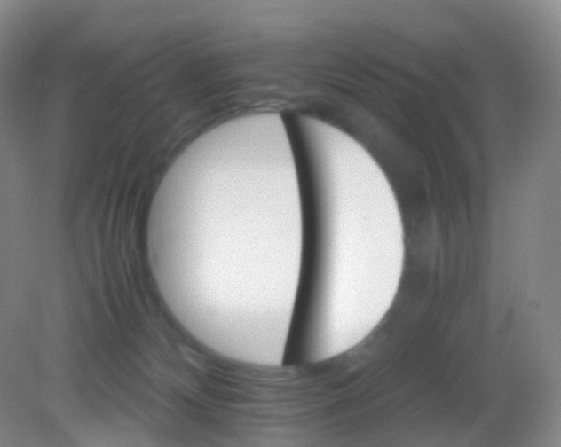 X0000081630132200702051308