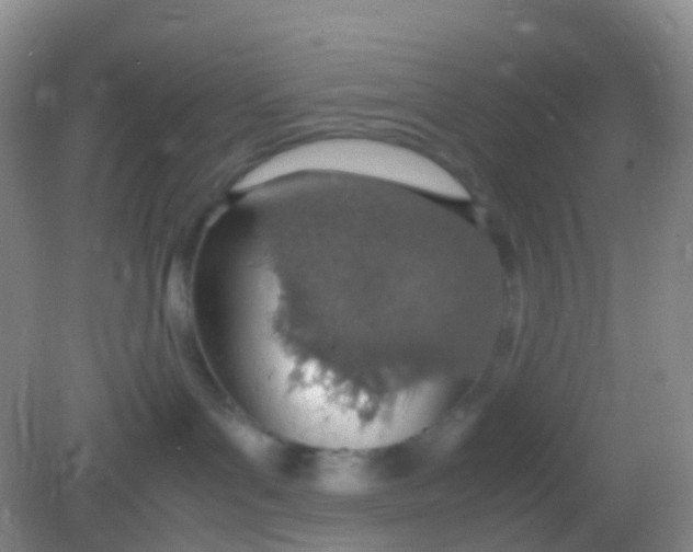 X0000081630143200702051308