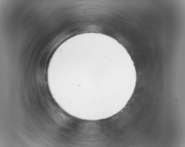 X0000081630146200702051307
