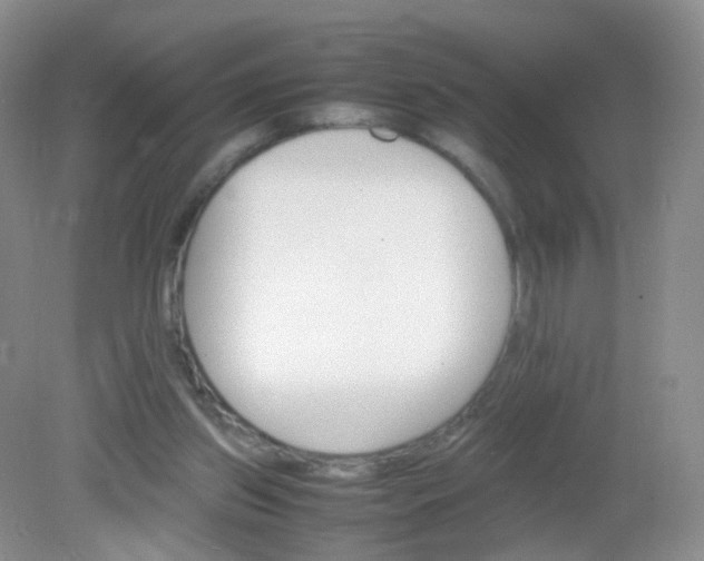 X0000081630157200702051307