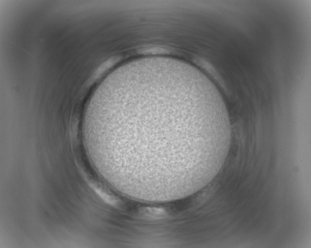 X0000081630159200702051308