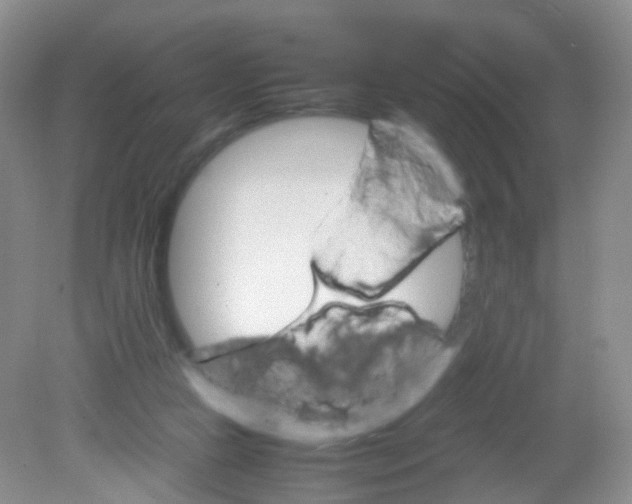 X0000081630161200702051308