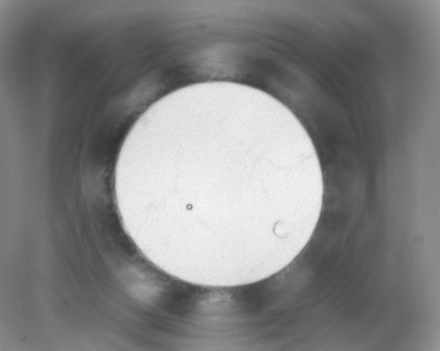 X0000081630162200702051308