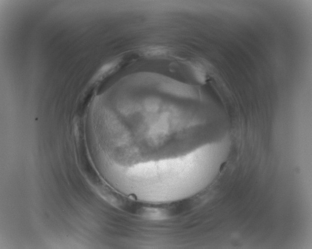 X0000081630167200702051308