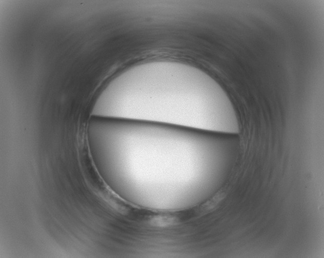 X0000081630168200702051308