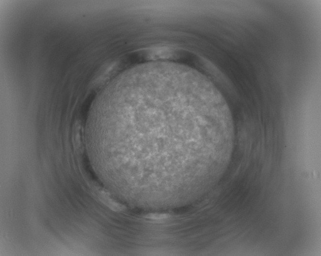 X0000081630169200702051308