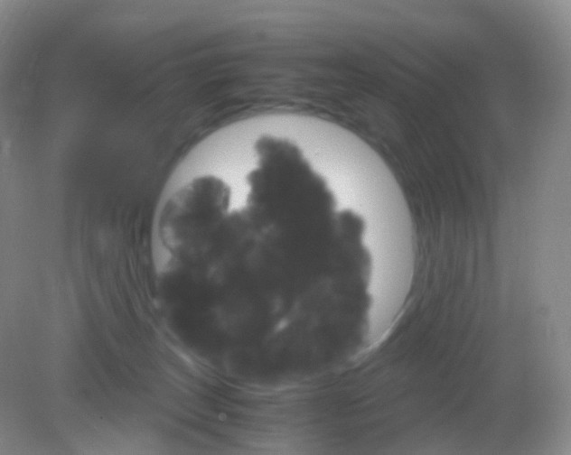 X0000081630179200702051308