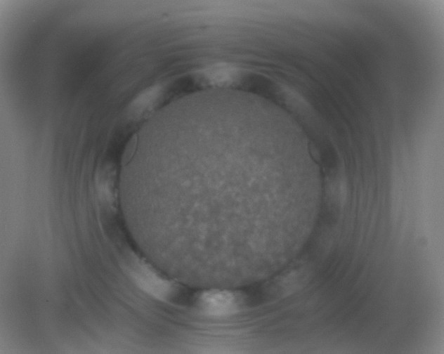 X0000081630181200702051308