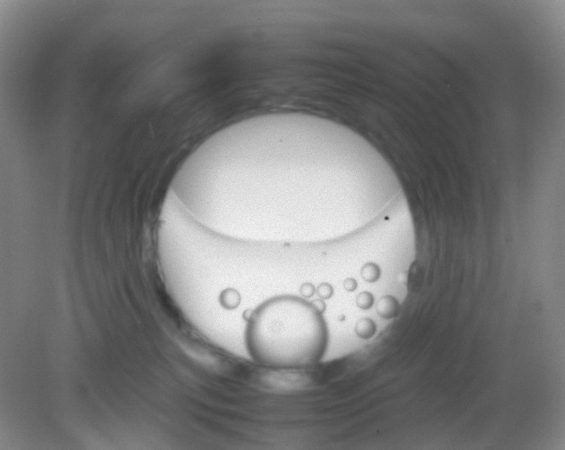 X0000081630183200702051308