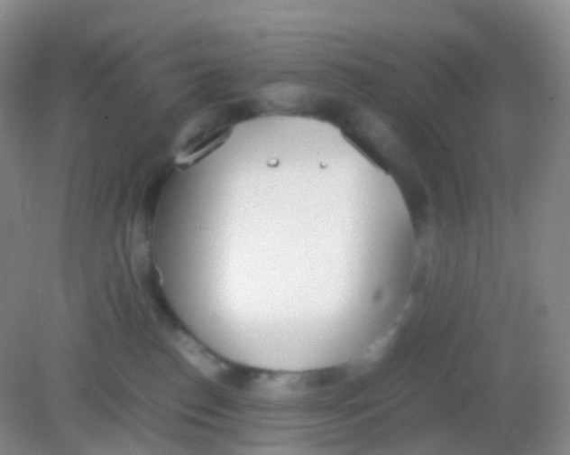 X0000081630186200702051308