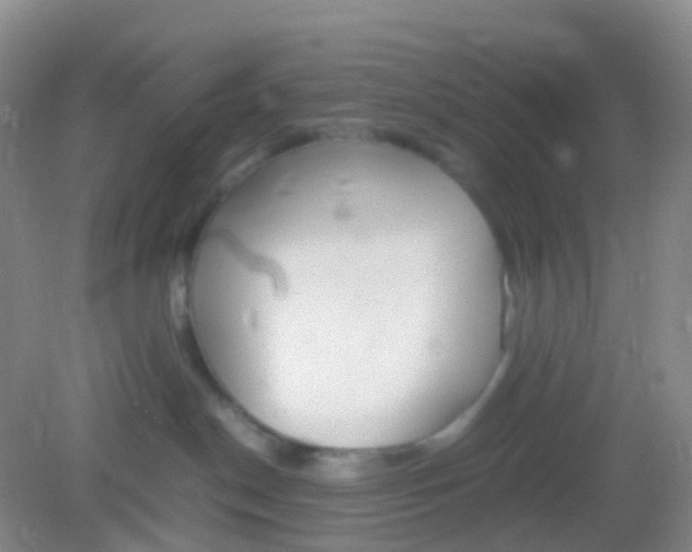 X0000081630190200702051308