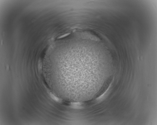 X0000081630192200702051308