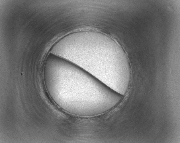 X0000081630193200702051307