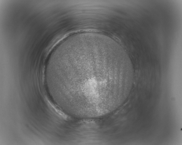 X0000081630194200702051307