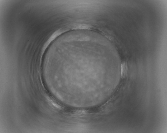 X0000081630195200702051307