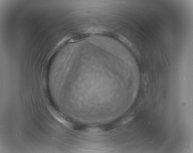X0000081630203200702051307