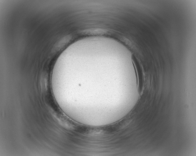 X0000081630206200702051307
