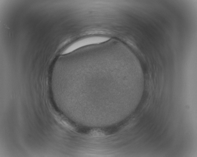 X0000081630207200702051307