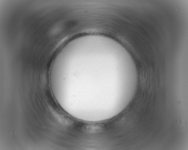 X0000081630208200702051307