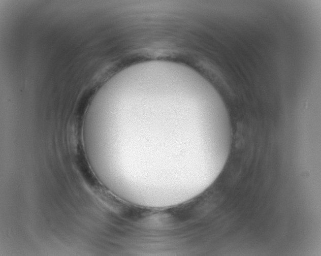 X0000081630210200702051307