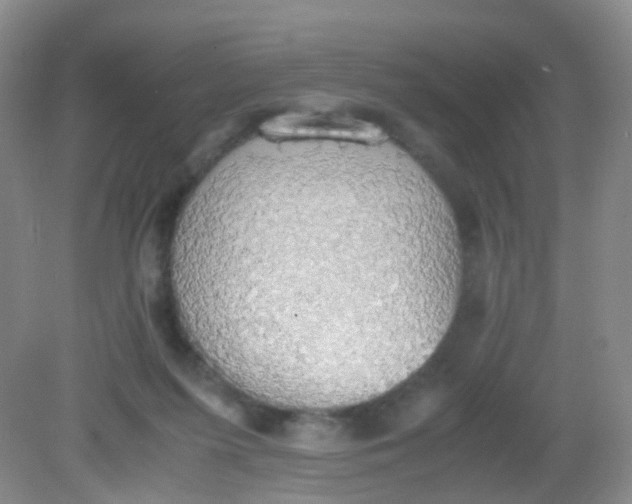X0000081630215200702051307