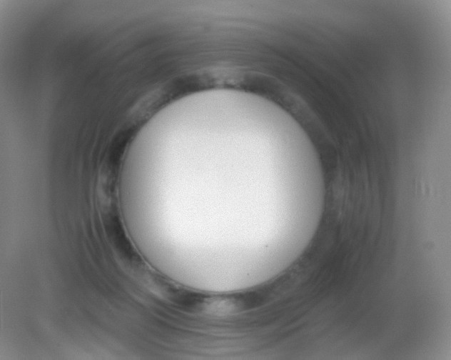 X0000081630218200702051307