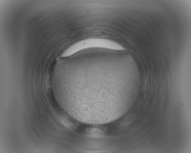 X0000081630224200702051307