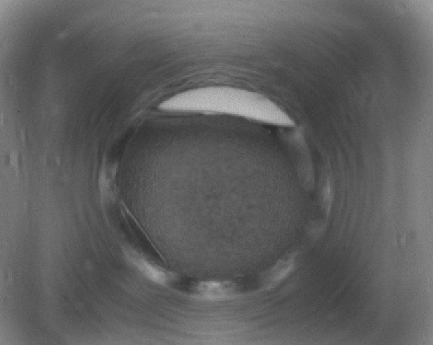 X0000081630239200702051307