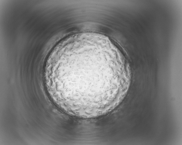 X0000081630241200702051306