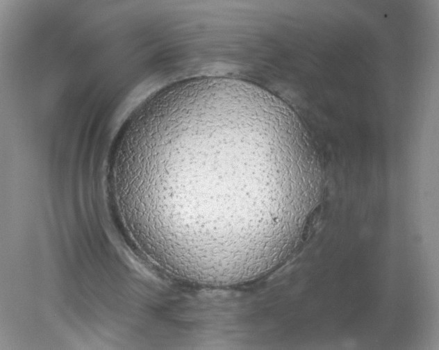 X0000081630242200702051306