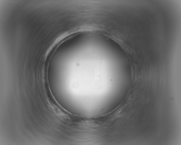 X0000081630244200702051306