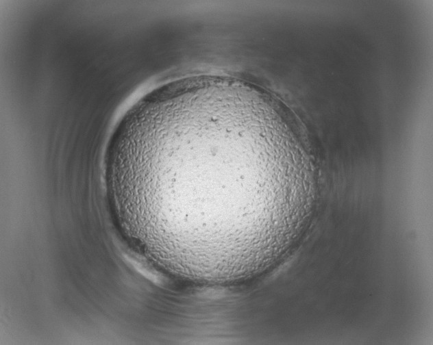 X0000081630246200702051306