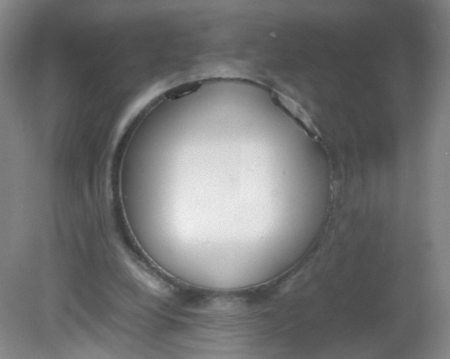 X0000081630248200702051306