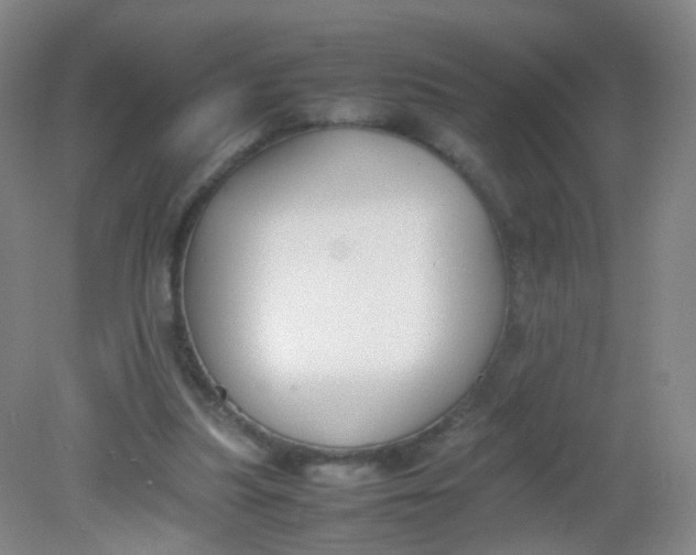 X0000081630251200702051306