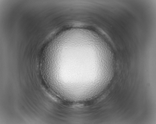 X0000081630257200702051306
