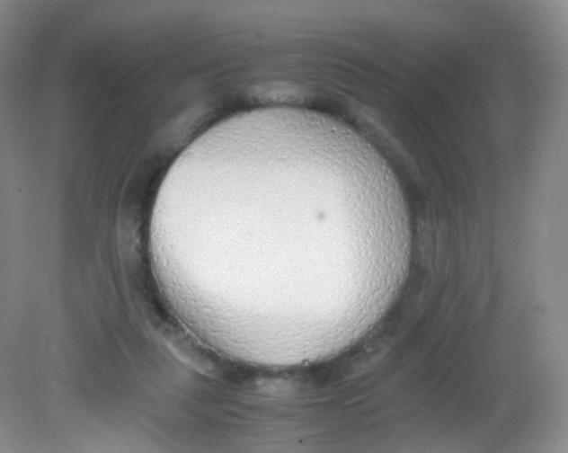 X0000081630259200702051306
