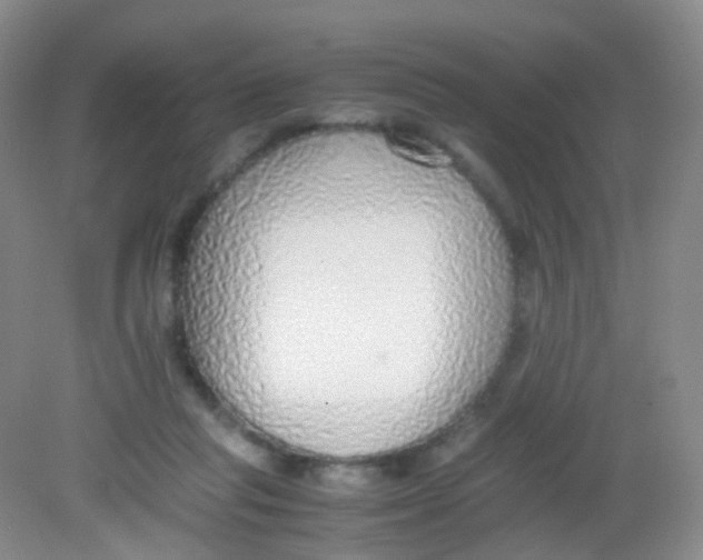 X0000081630261200702051306