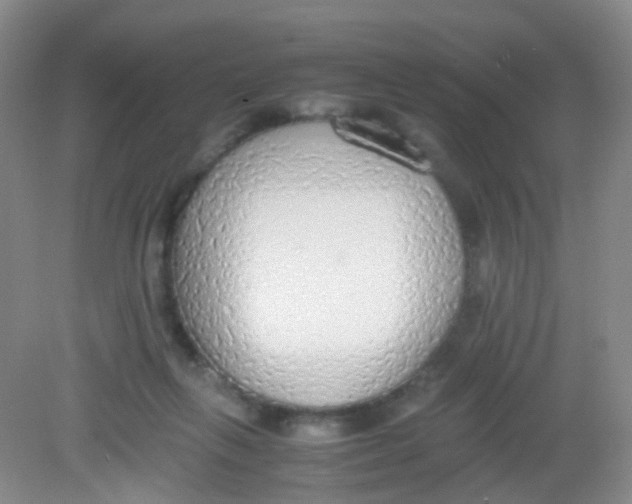 X0000081630263200702051306
