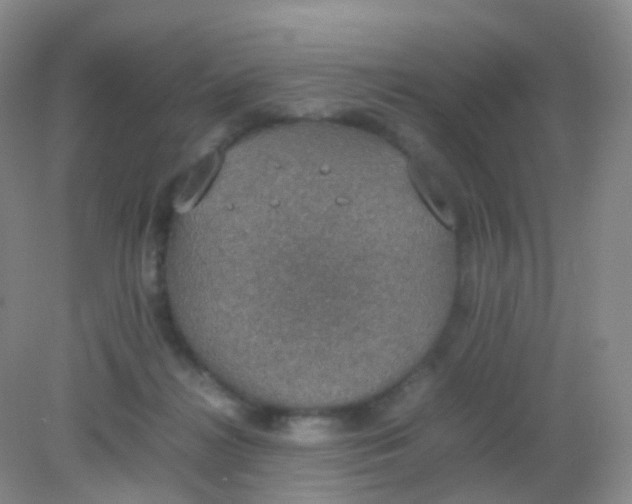 X0000081630268200702051306