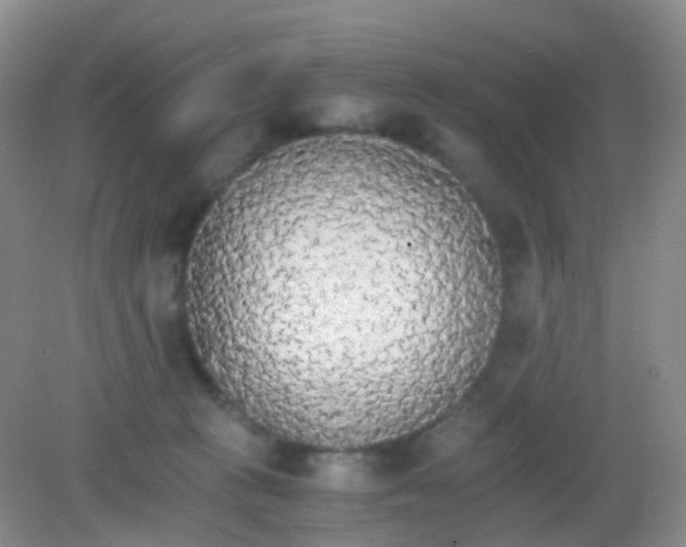 X0000081630273200702051306