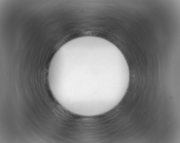 X0000081630275200702051306