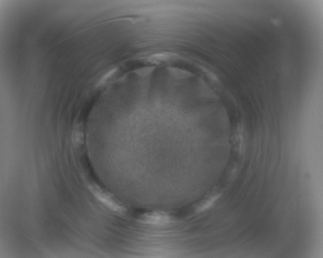 X0000081630284200702051306