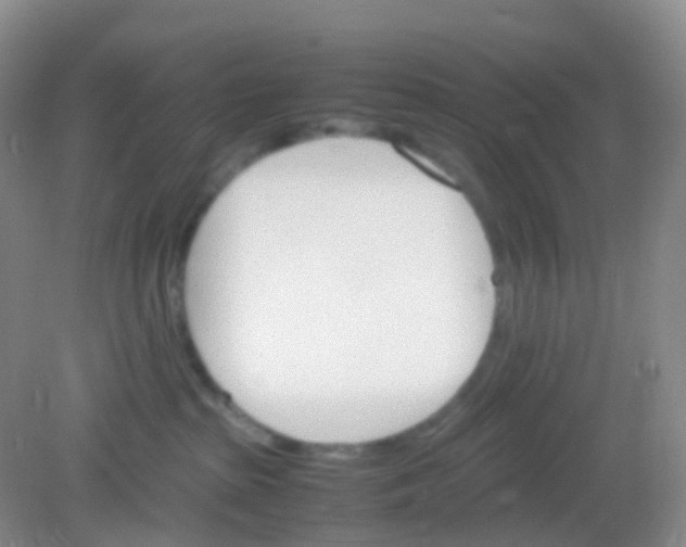 X0000081630285200702051306