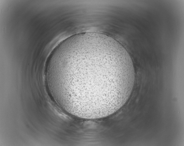 X0000081630290200702051306