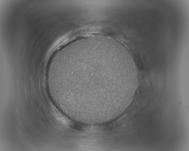 X0000081630293200702051306